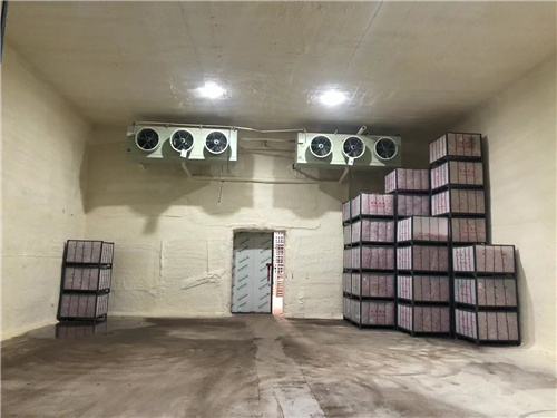 球友会网页版苹果冷库安装案例